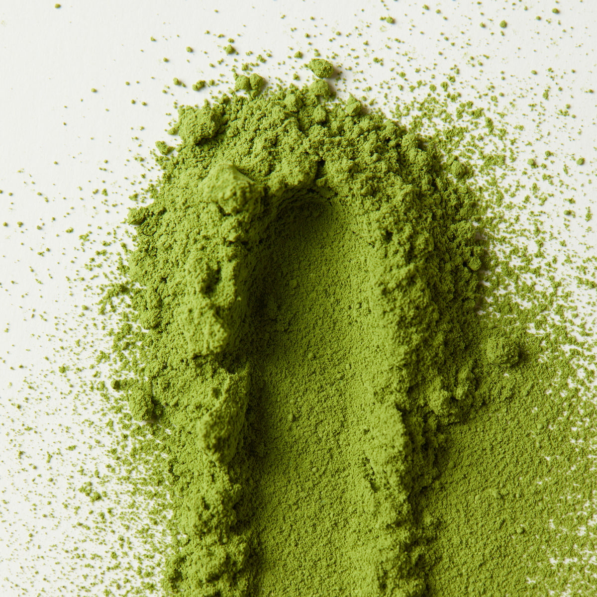 Jingshan Matcha - Ceremonial Blend