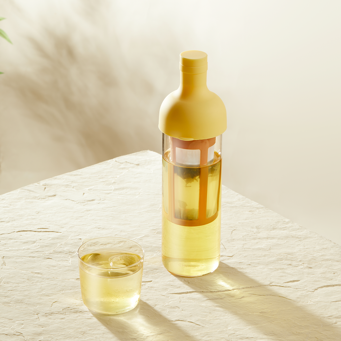 Cold Brew Tea Bottle - Filter Included