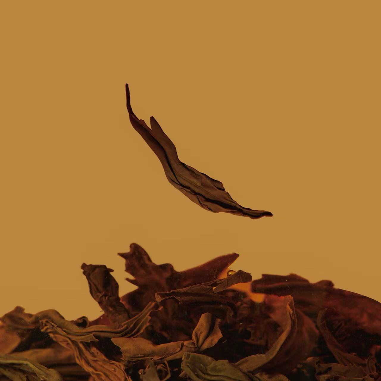 A single dried leaf is suspended in the air above a pile of dried leaves against a solid orange background.
