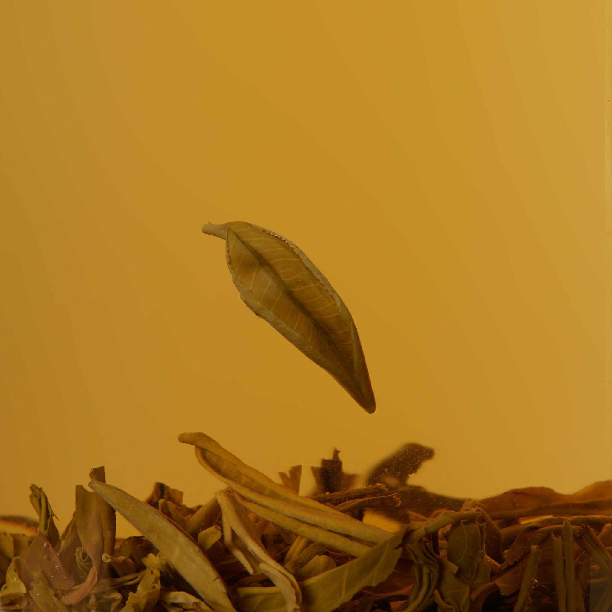 A single tea leaf hovers above a cluster of green tea leaves in a cup of amber-hued Chafolio Jasmine Green Tea.