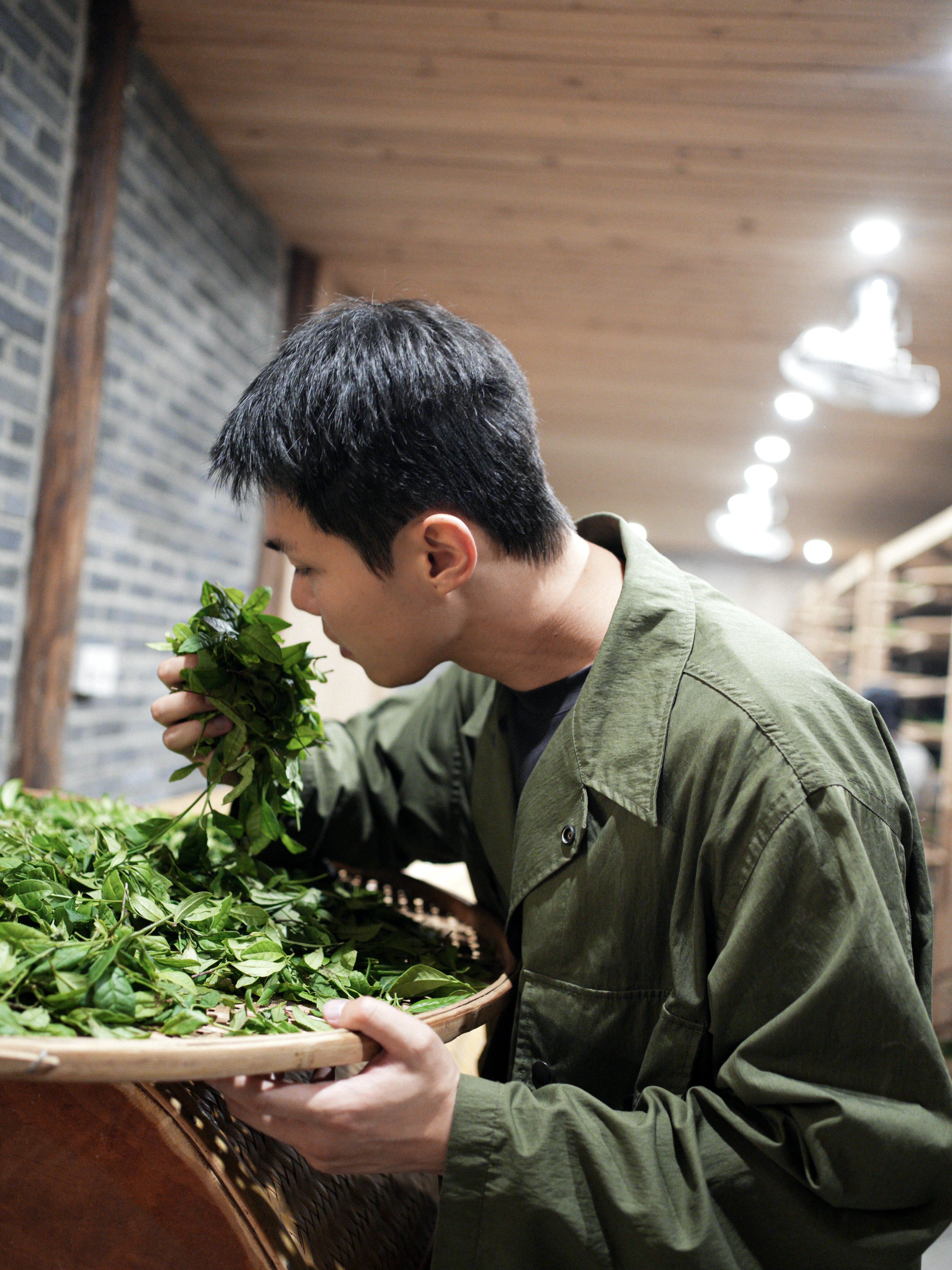 A person in a green jacket smells fresh green leaves held in a large round basket inside a wooden and brick building.