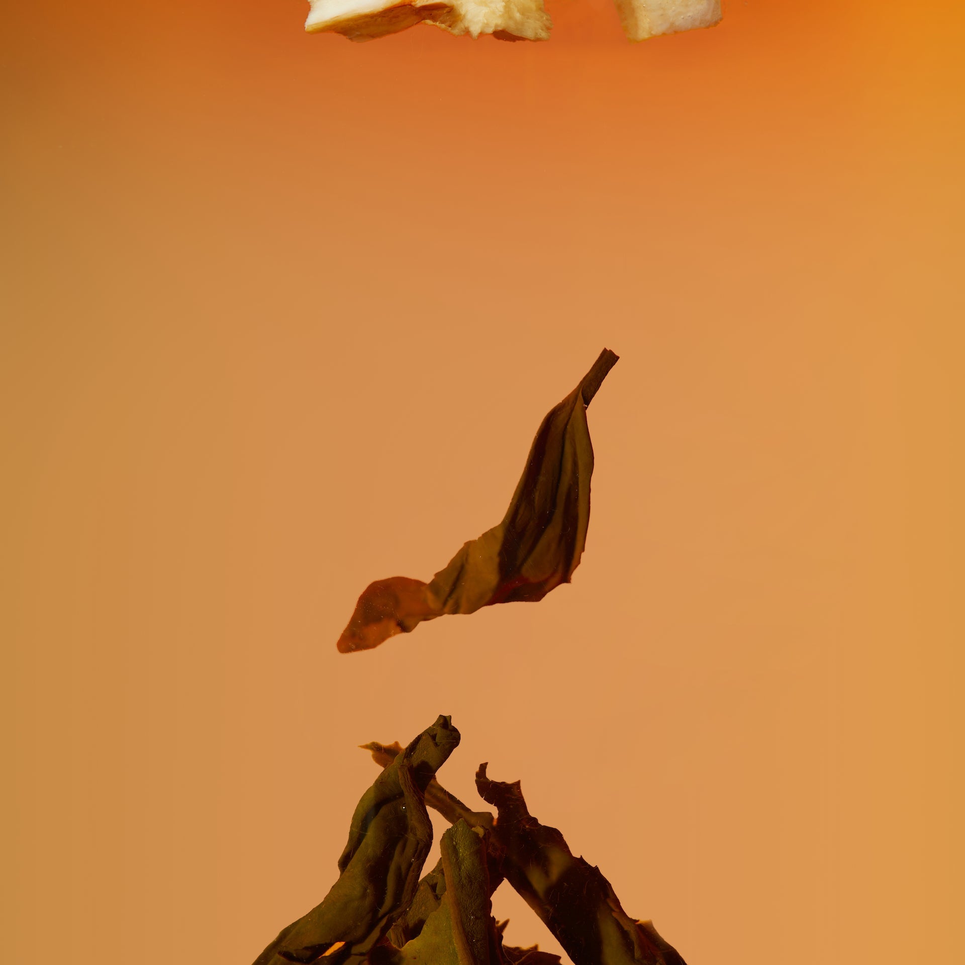 Dried leaves hang against an orange background, capturing the essence of Chafolio Lychee Black Tea, with a white object partially visible at the top edge.