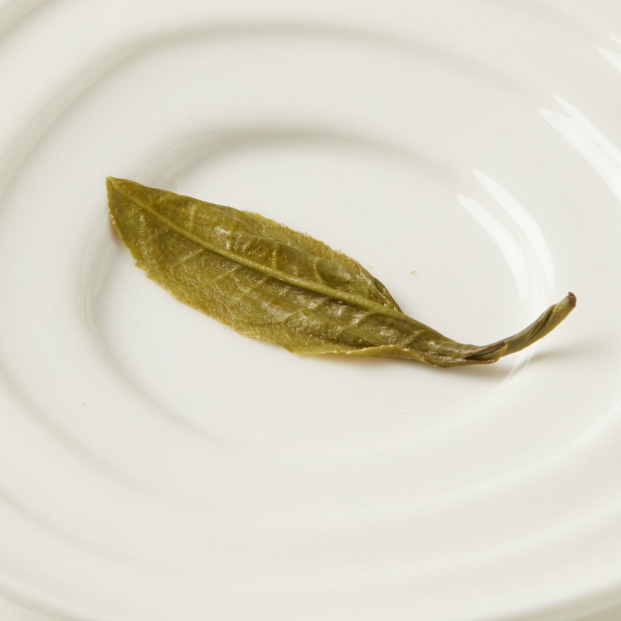 A single magnolia green tea leaf on a white plate, reflecting the expert selection behind Chafolio’s Magnolia Green Tea.
