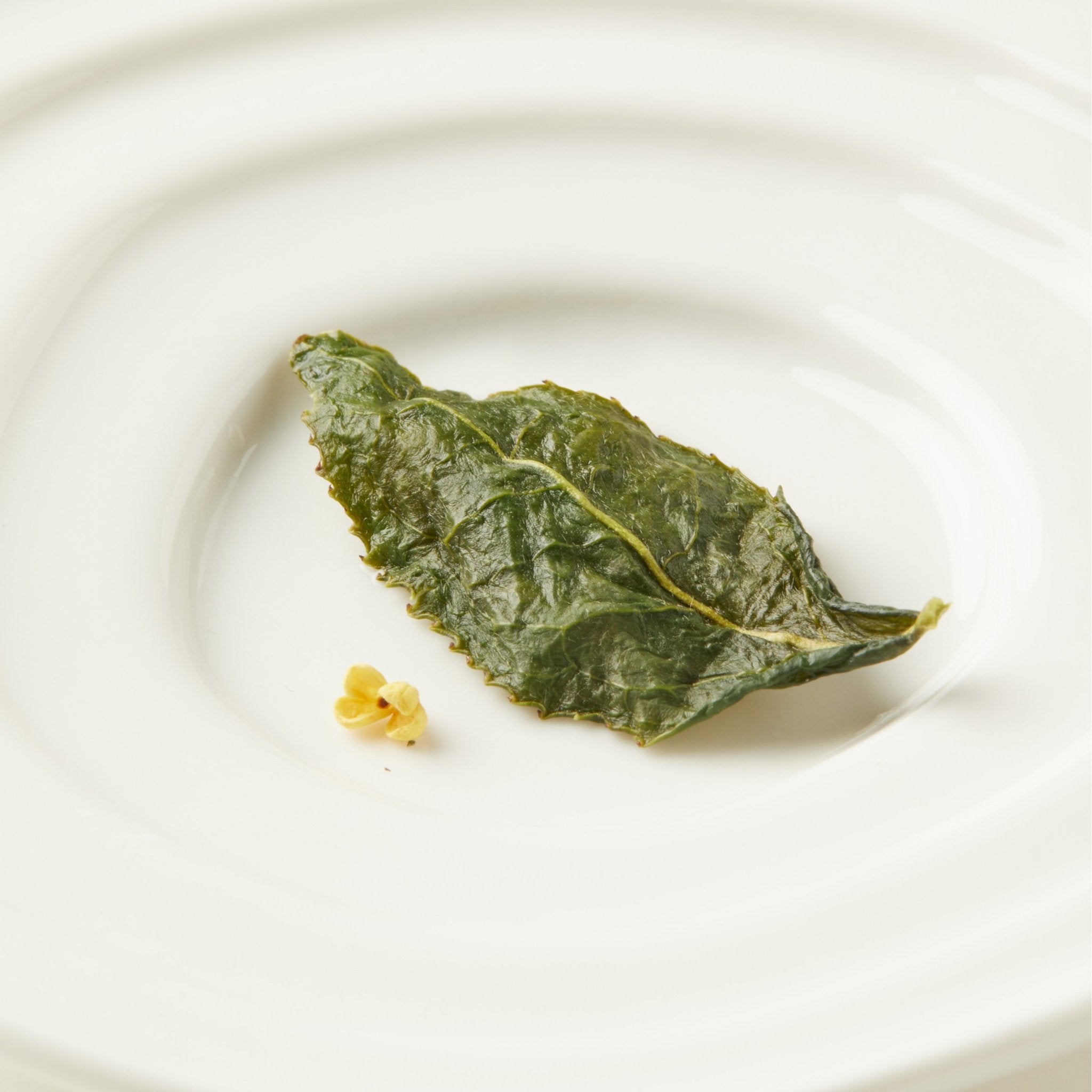 A single cooked green leaf and a small yellow Osmanthus Oolong tea garnish from Chafolio rest elegantly on a white plate.
