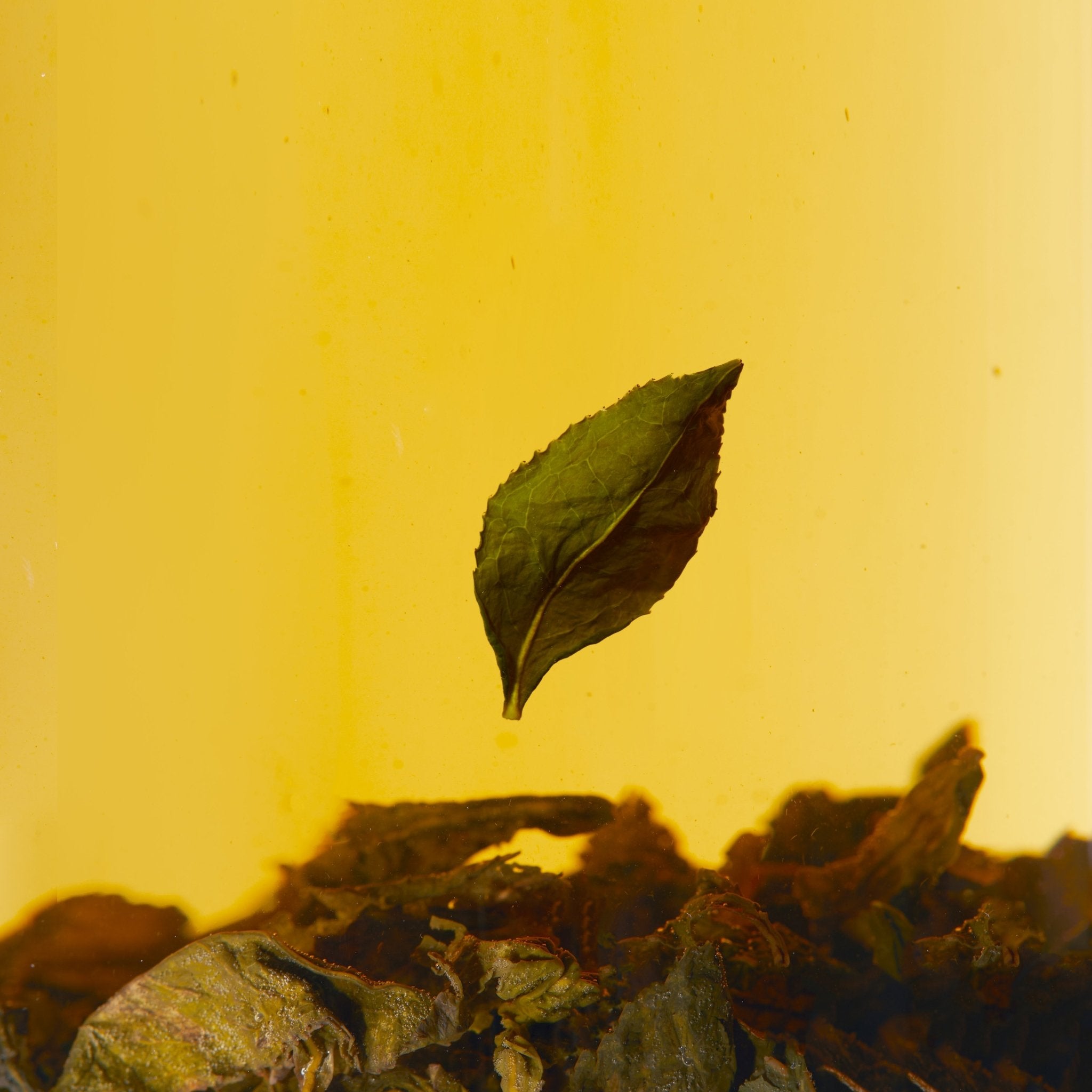 A single green tea leaf floats in golden Tie Guan Yin tea from Chafolio, with loose leaves resting at the bottom, capturing the drink's elegance.
