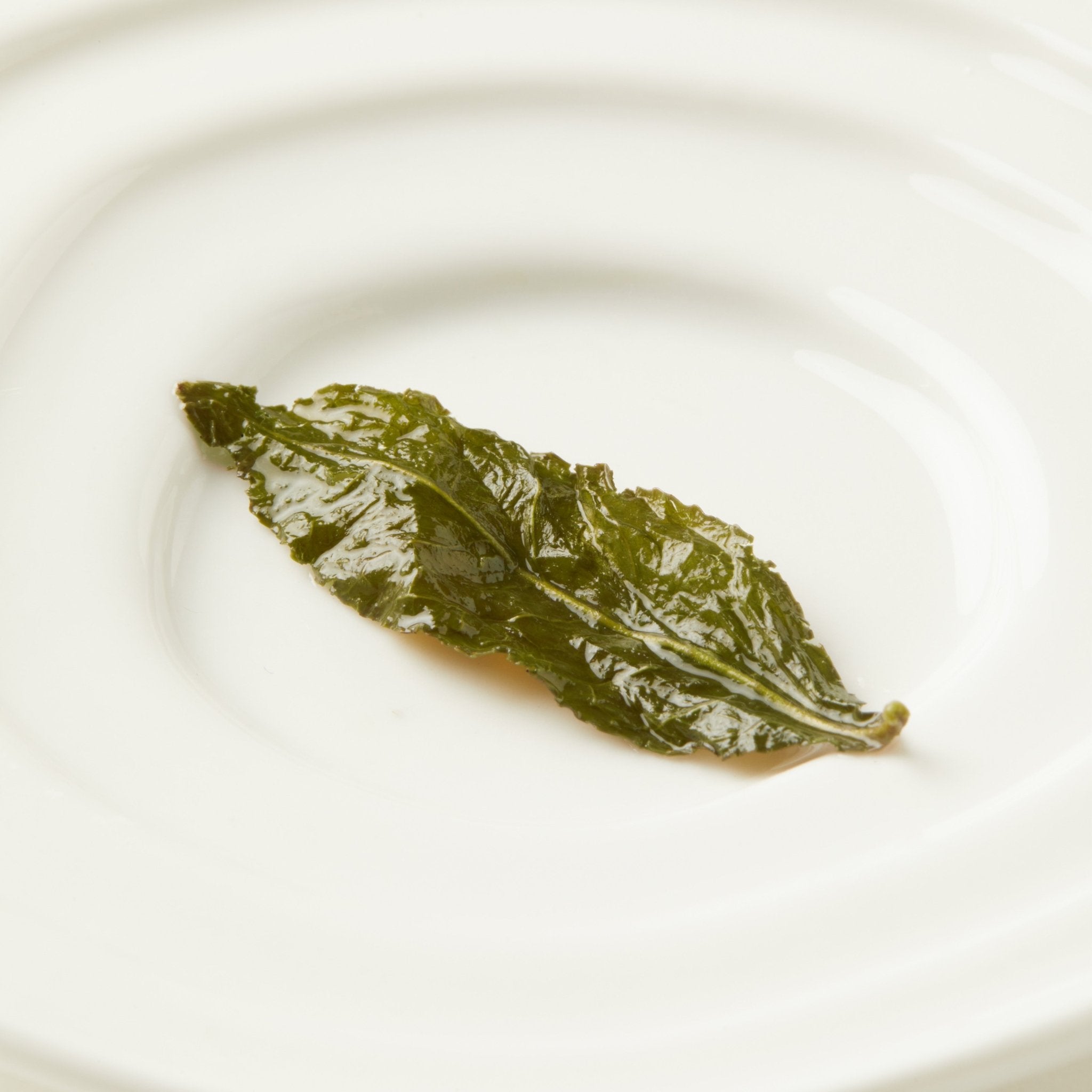 A single glossy green Chafolio Tie Guan Yin tea leaf rests in the center of a white plate.