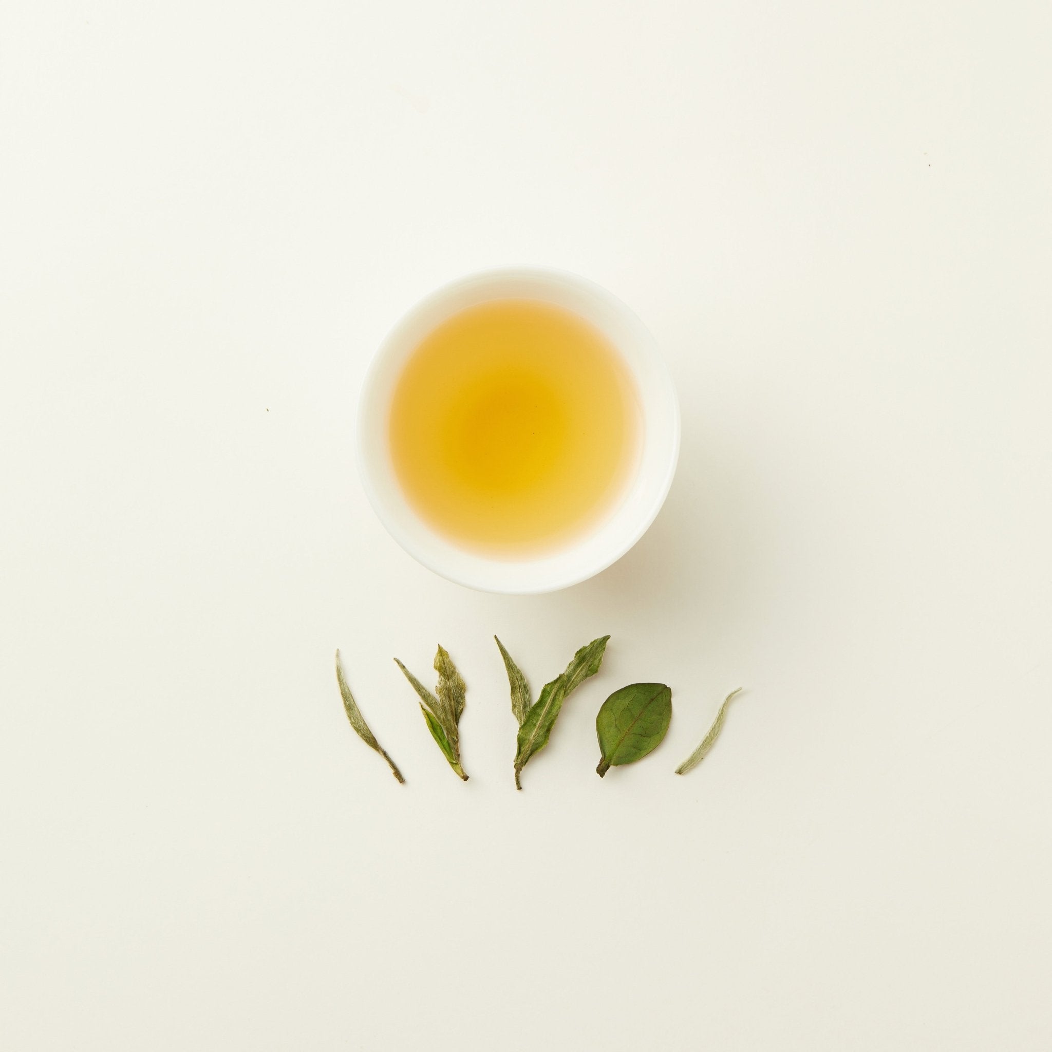 A white cup filled with light yellow Chafolio White Peony tea is placed above six arranged tea leaves on a white background.
