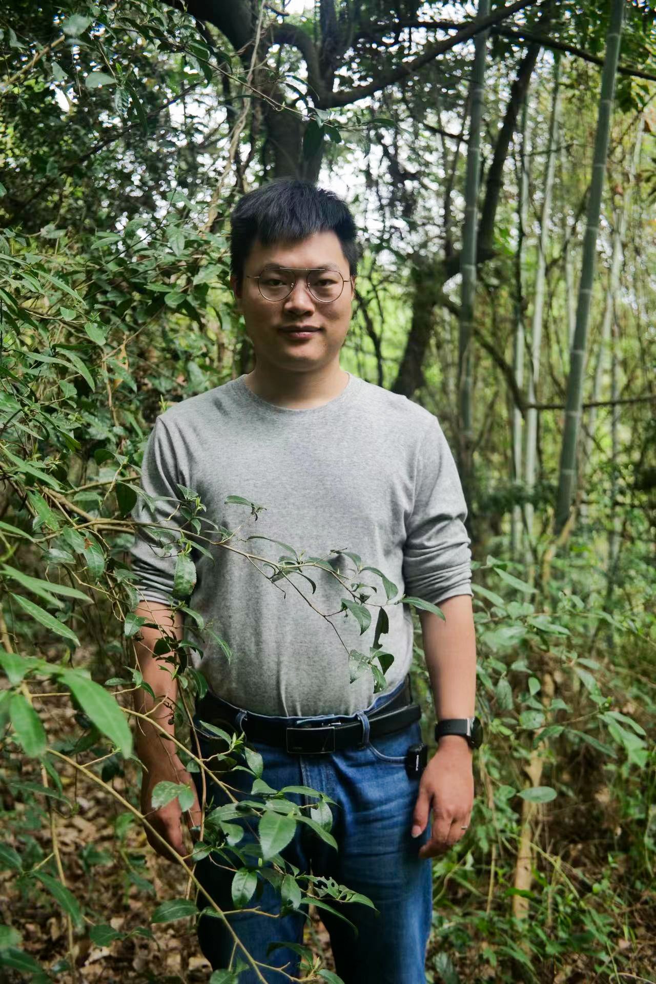 Amber River Black Tea · The Story of Master Jianping Chen - Chafolio