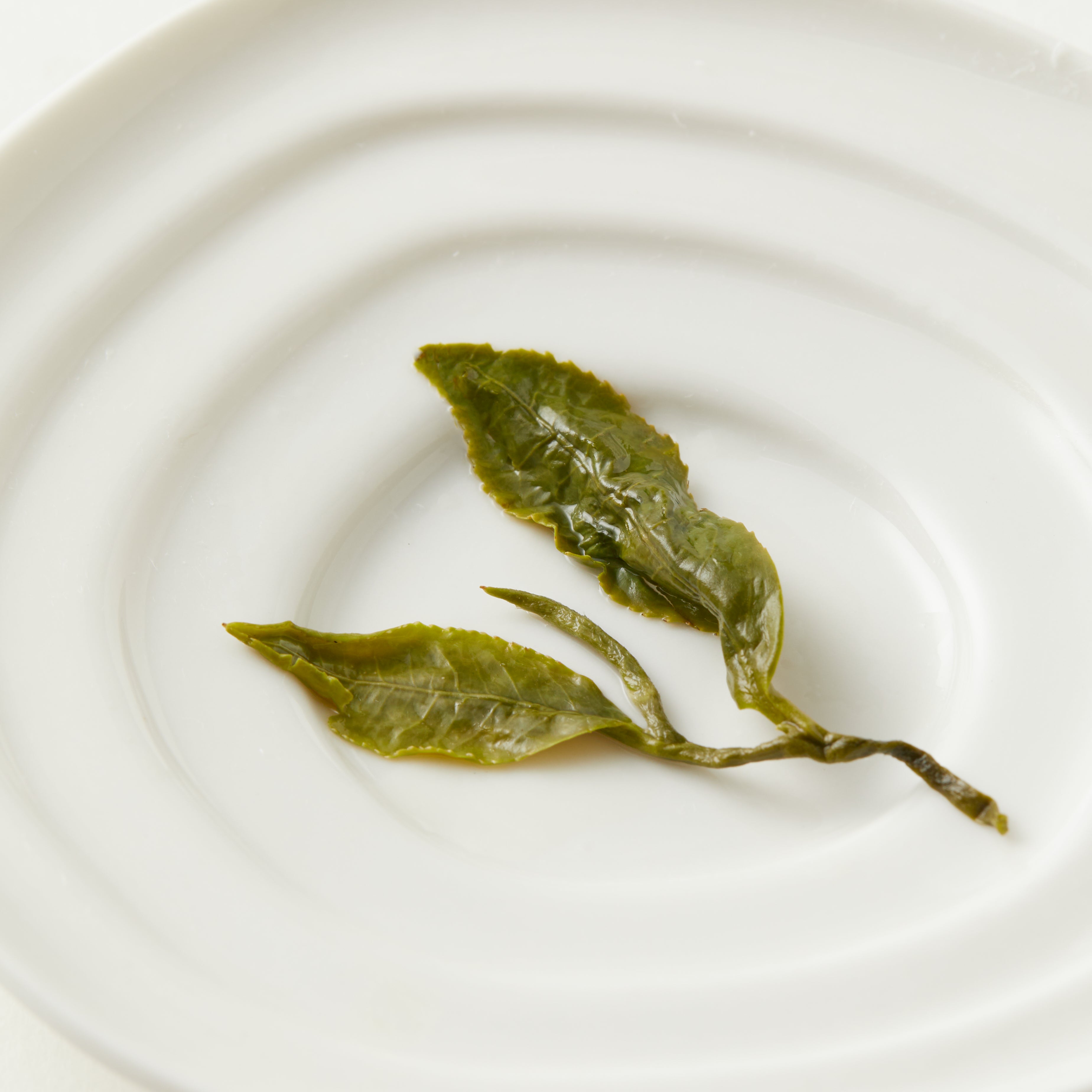 Milk Oolong