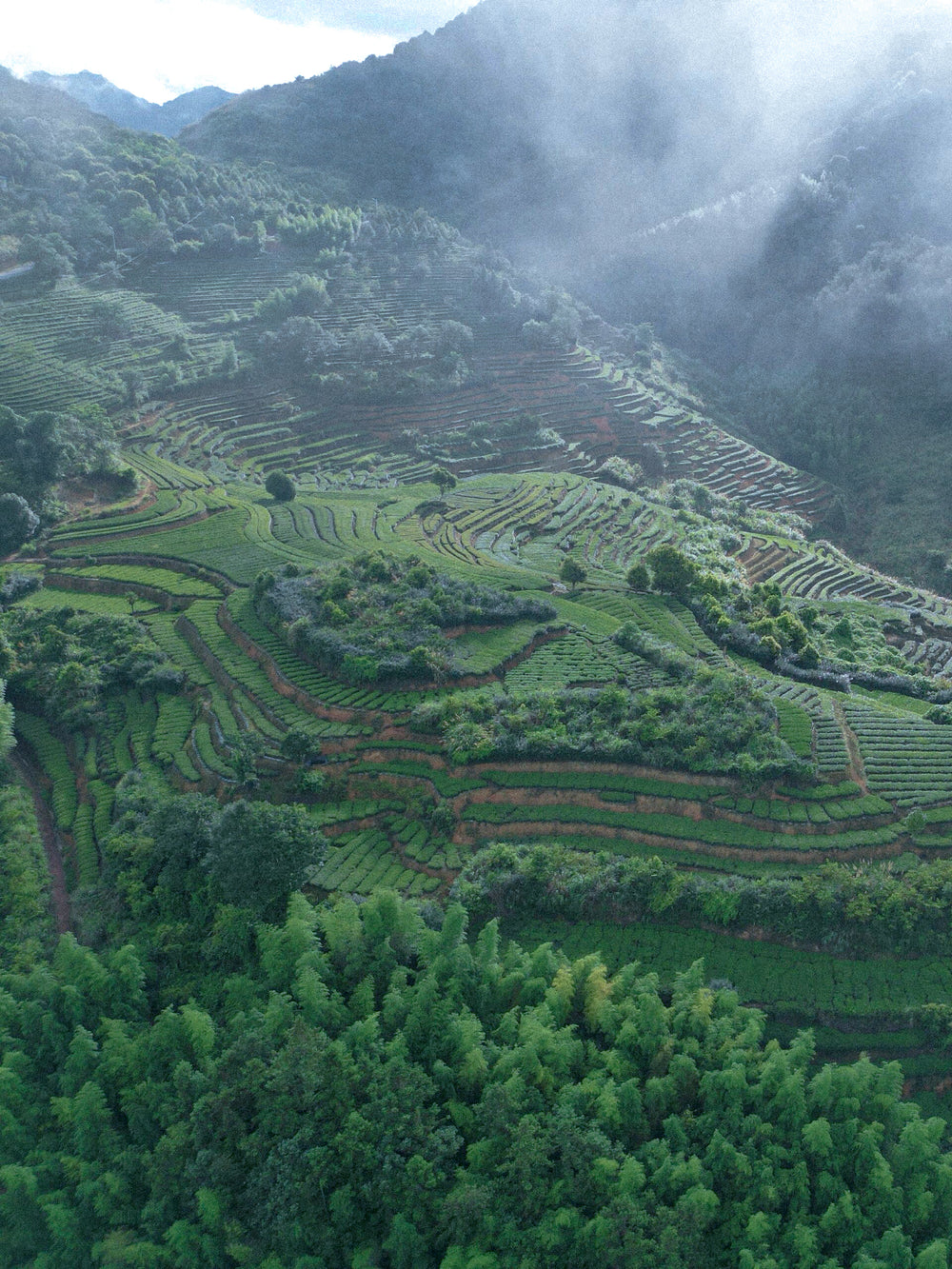Our Sourcing