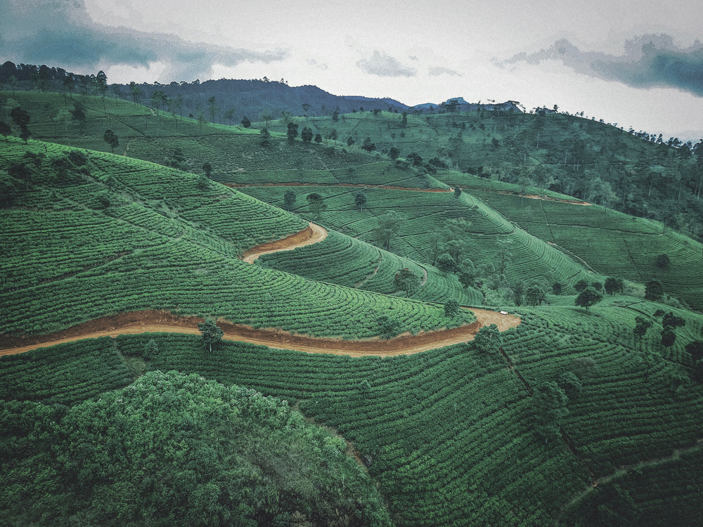 Our Sourcing