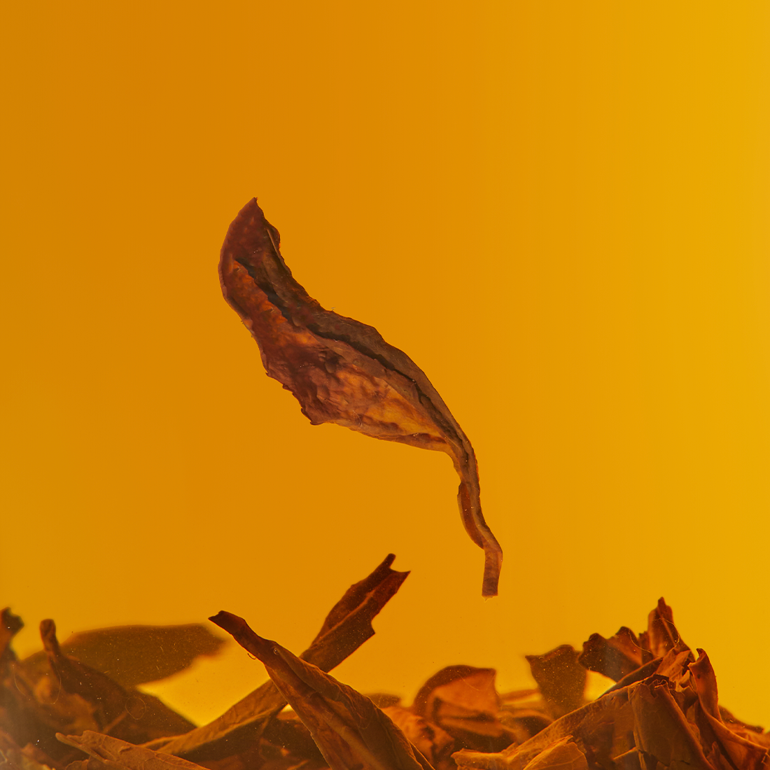 Phoenix Oolong