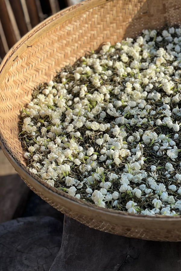 A woven basket filled with white jasmine flowers spread out to dry in sunlight.