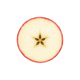 Dried Sliced Apple