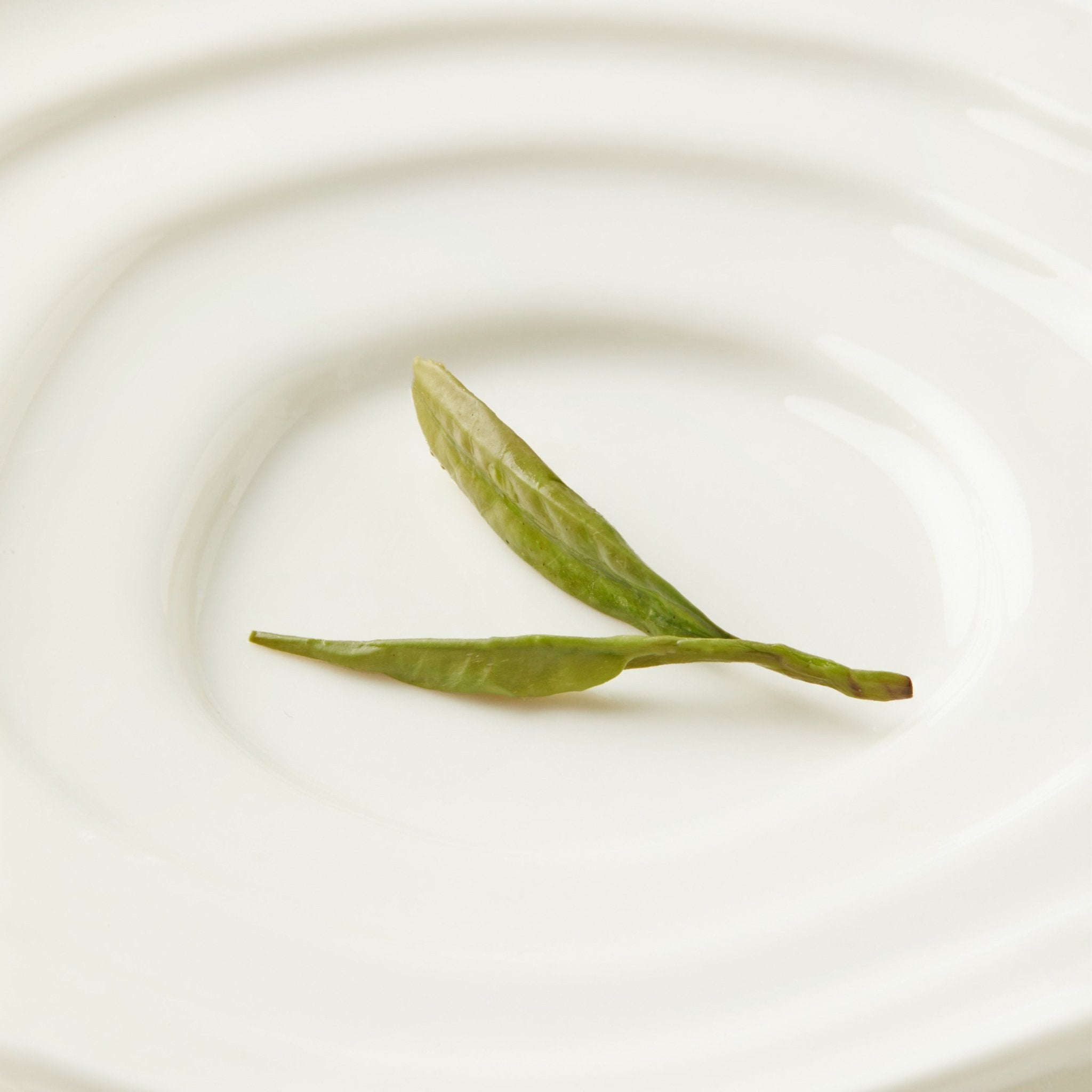 Two early spring Dragon Well tea leaves from Chafolio rest on a plain white ceramic plate with a subtle circular pattern.