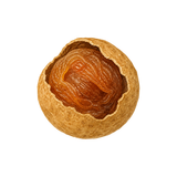 Dried Longan