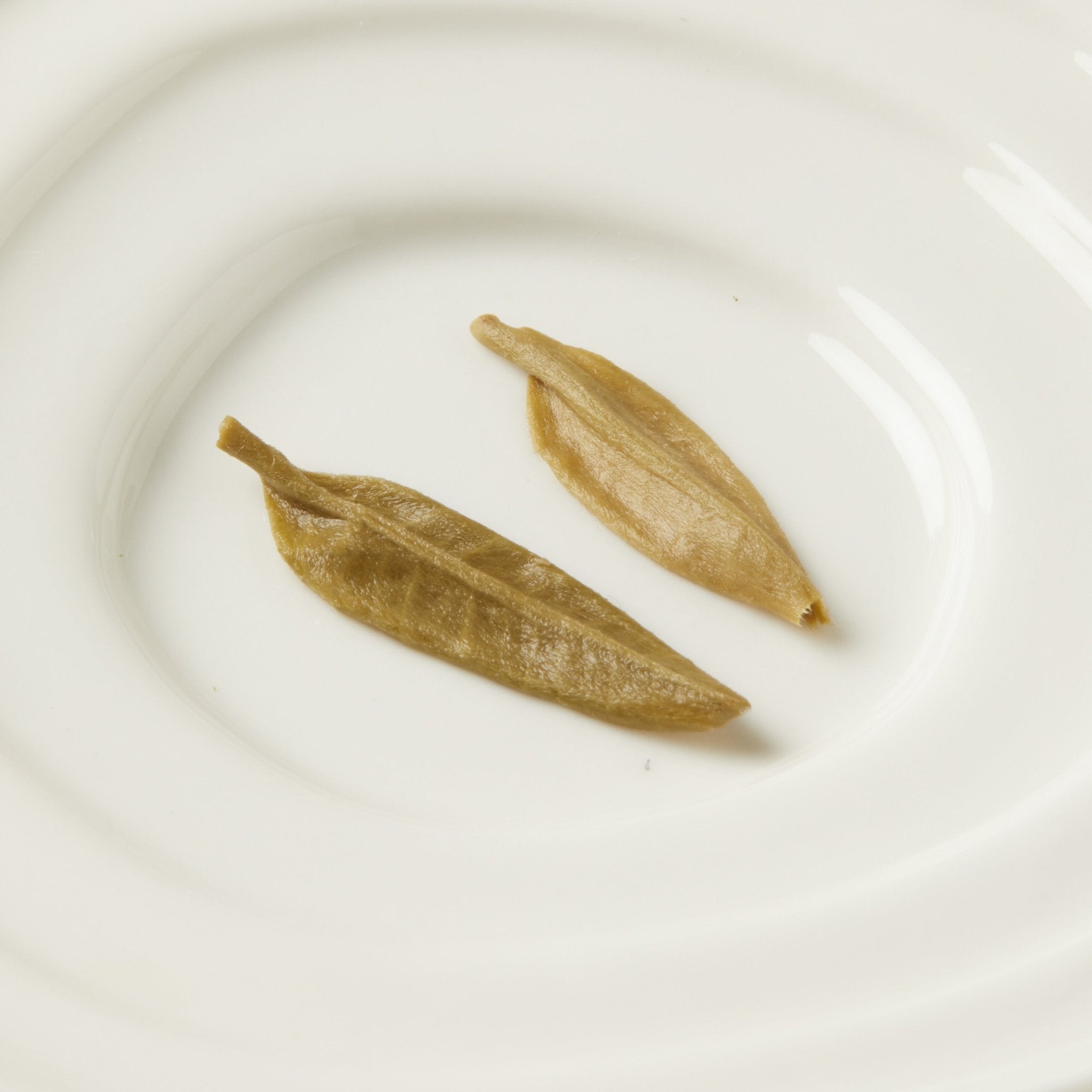 Jasmine Green Tea