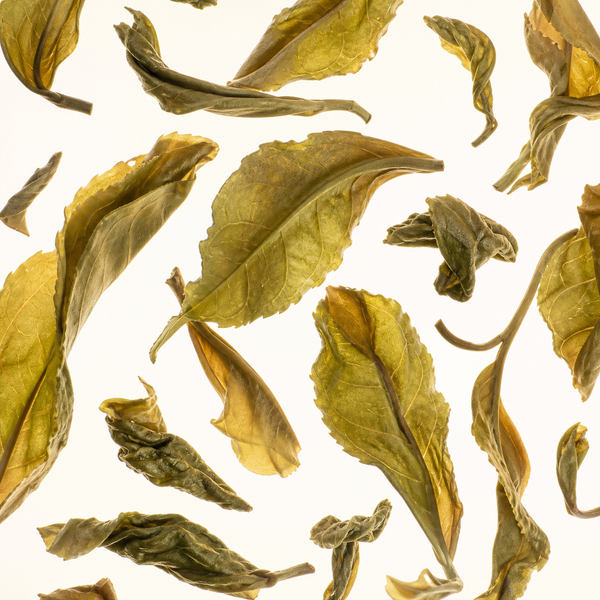 Oolong Tea