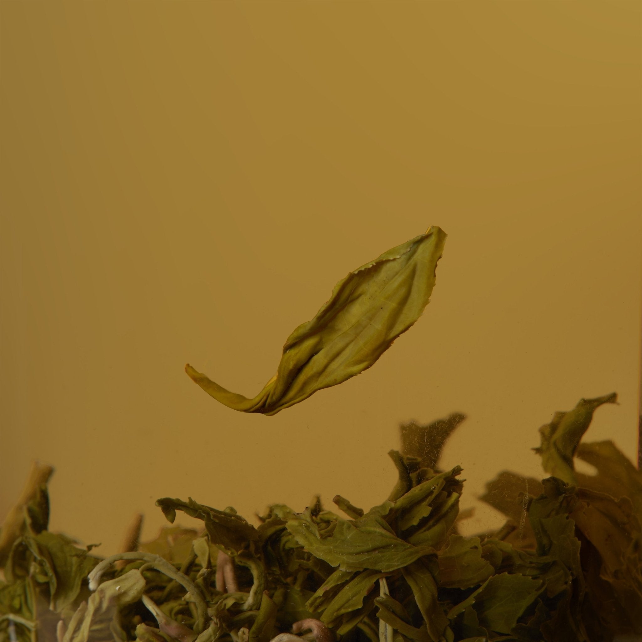 A single Magnolia Green Tea leaf by Chafolio floats above a pile of similar leaves on a plain brown background, evoking the careful selection of premium tea artisans.