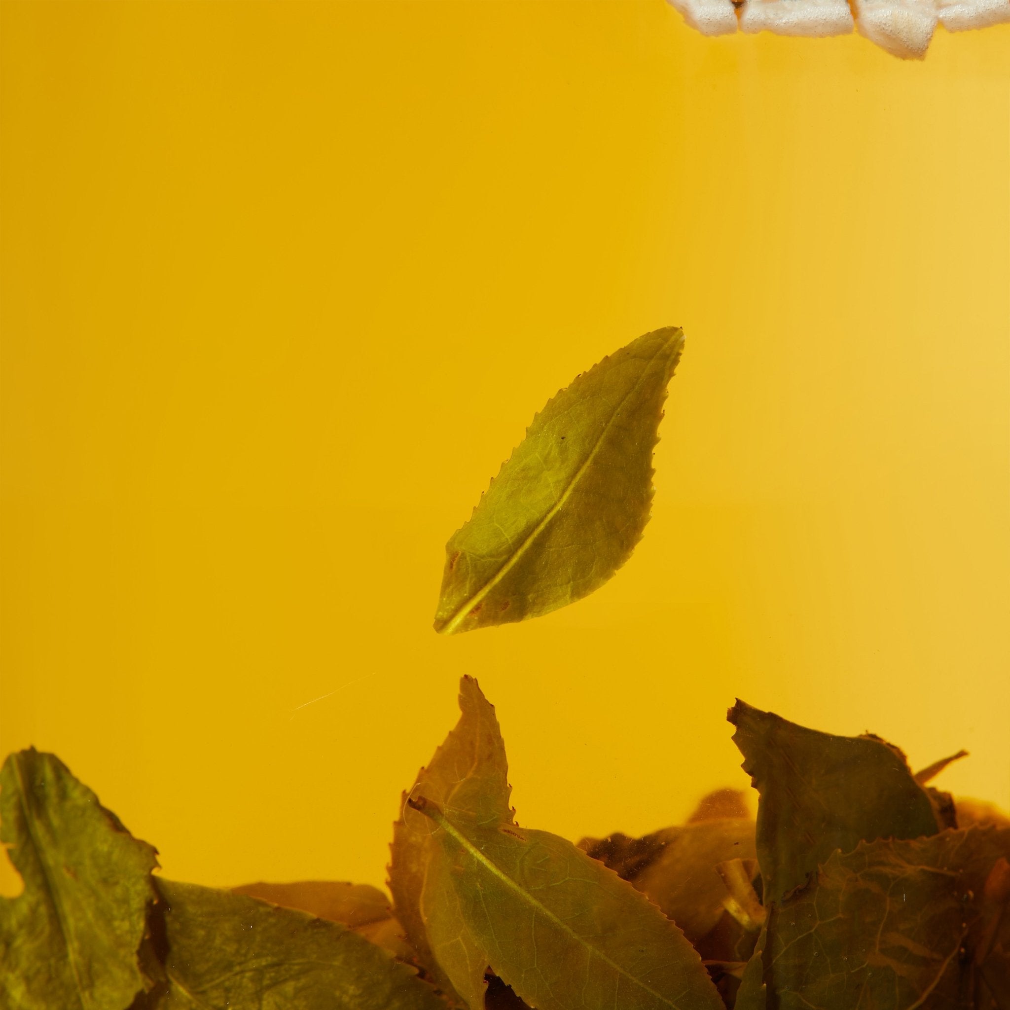 A green leaf floats in a yellow liquid with other leaves at the bottom, resembling Chafolio’s Peach Oolong cold brew tea.