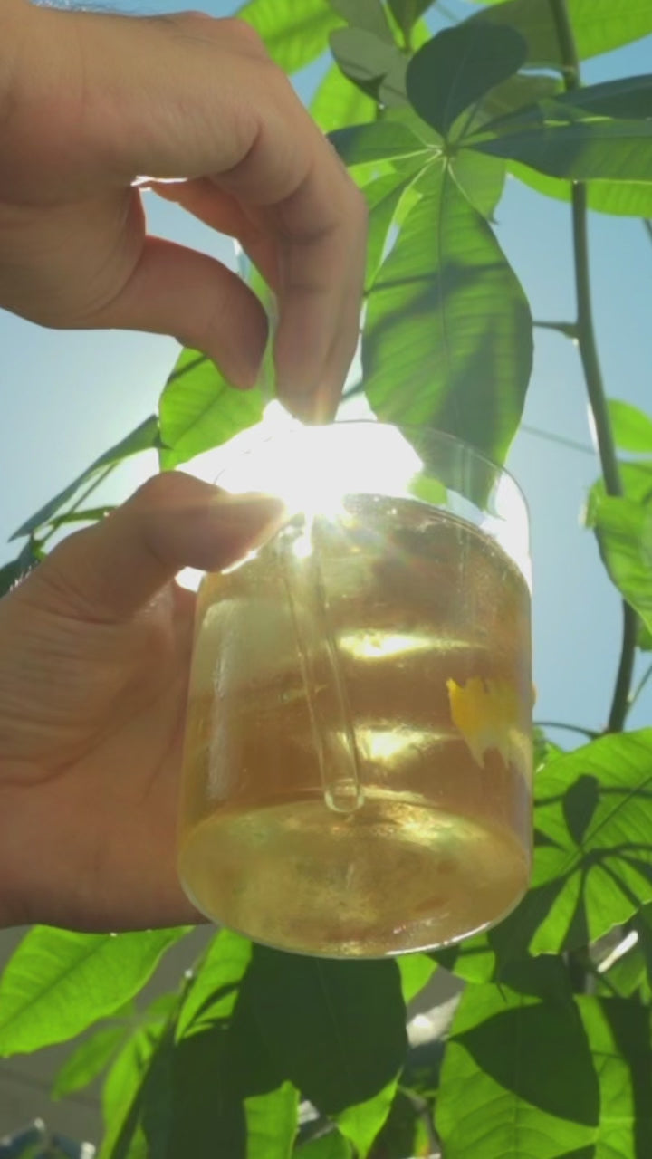 Yuzu Oolong
