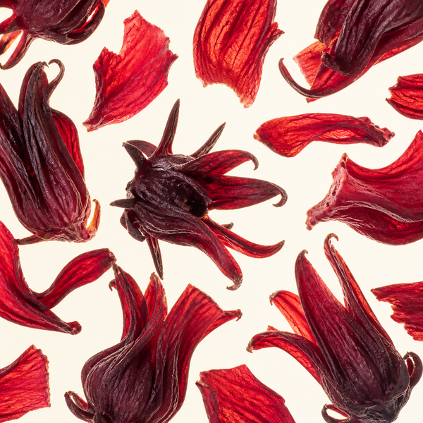 Hibiscus Flower