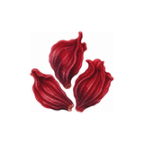 Hibiscus Flower