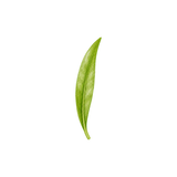 Sticky Rice Herb (Nuo Mi Xiang Ye)